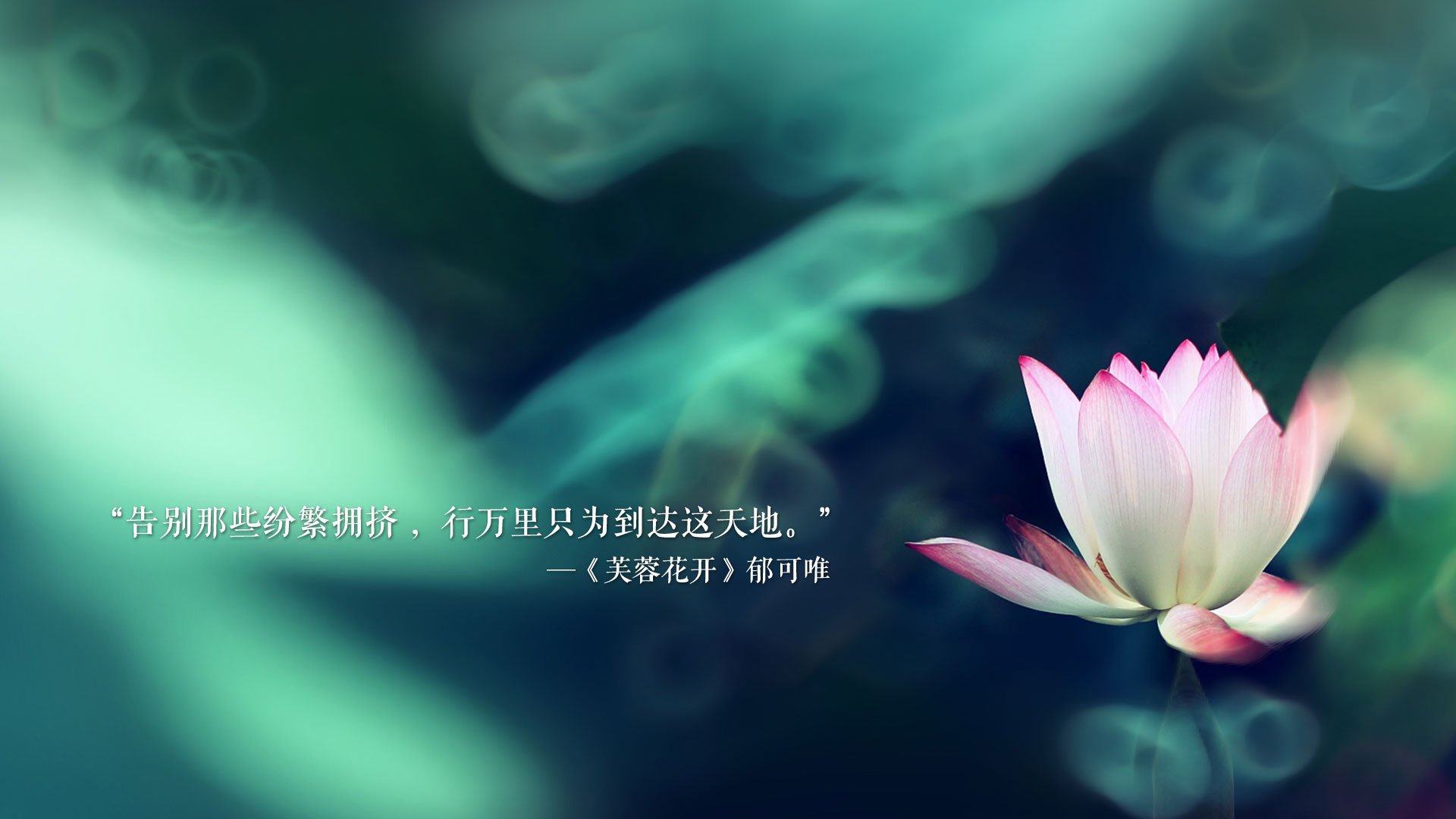 FaZe选手勇夺堡垒之夜周赛冠军，堡垒之夜杯赛
