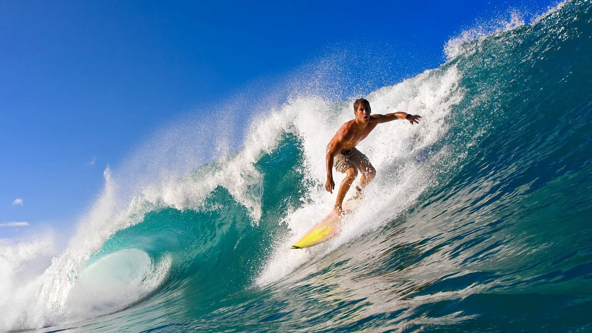 关注细节:联盟中最严苛的规则调整解读,联盟的规矩